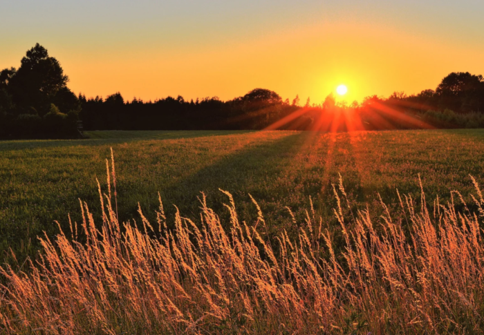 The Power of Positivity: Building a Joyful Life